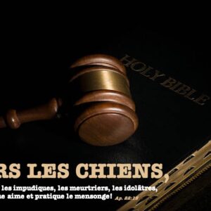 DEHORS LES CHIENS…
