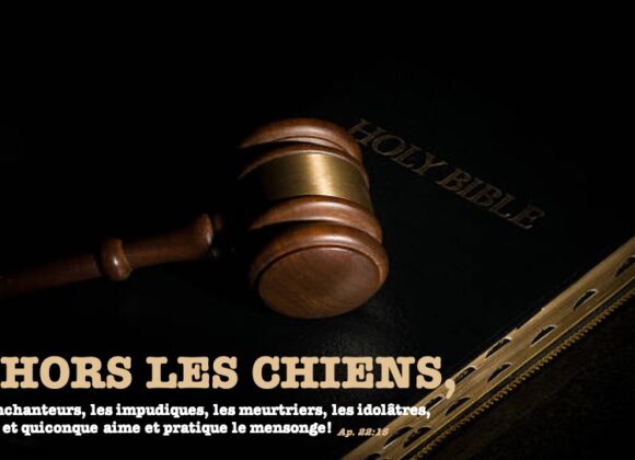 DEHORS LES CHIENS…