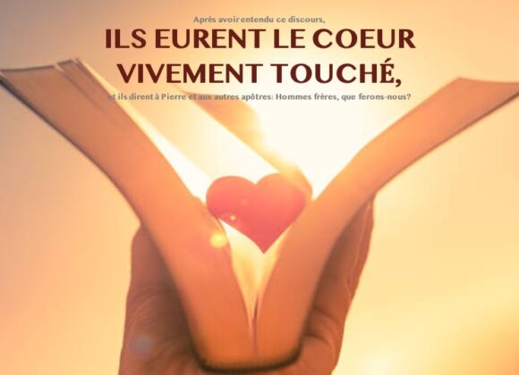 ILS EURENT LE COEUR VIVEMENT TOUCHÉ…