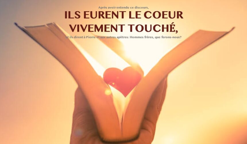 ILS EURENT LE COEUR VIVEMENT TOUCHÉ…