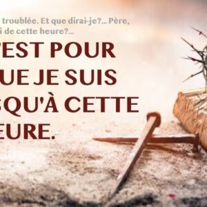 MAIS C&rsquo;EST POUR CELA QUE JE SUIS VENU JUSQU&rsquo;À CETTE HEURE.
