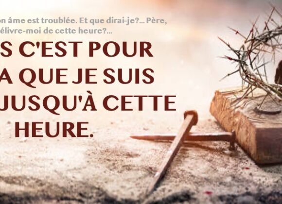 MAIS C&rsquo;EST POUR CELA QUE JE SUIS VENU JUSQU&rsquo;À CETTE HEURE.