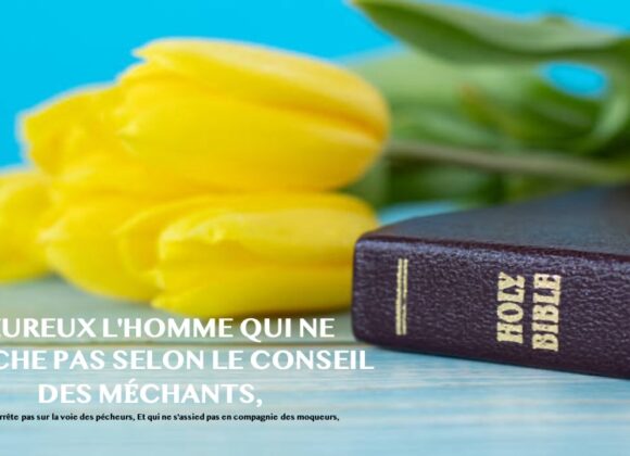 HEUREUX L&rsquo;HOMME QUI NE MARCHE PAS SELON LE CONSEIL DES MÉCHANTS